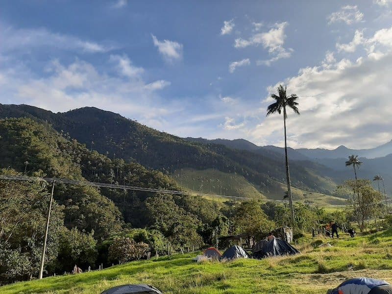 Hiking the Cocora Valley