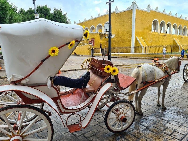 Take a Horse-Drawn Carriage Tour of the Yellow City