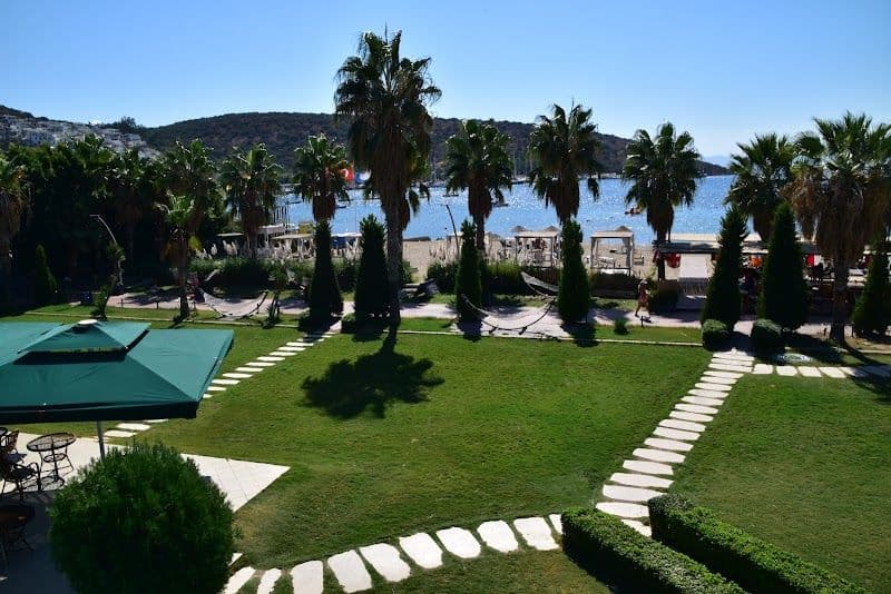 Relax at Bitez Beach