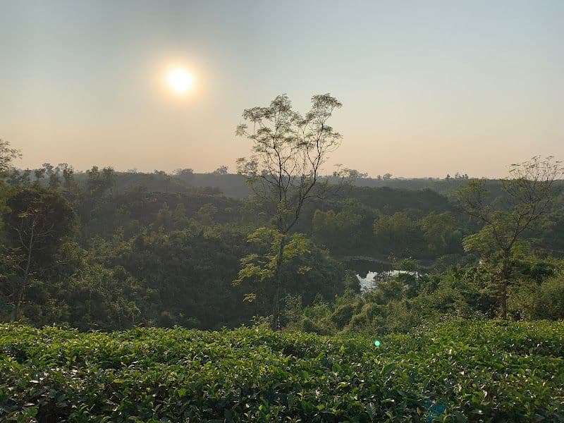 Watch the sunset at Madhabpur Lake