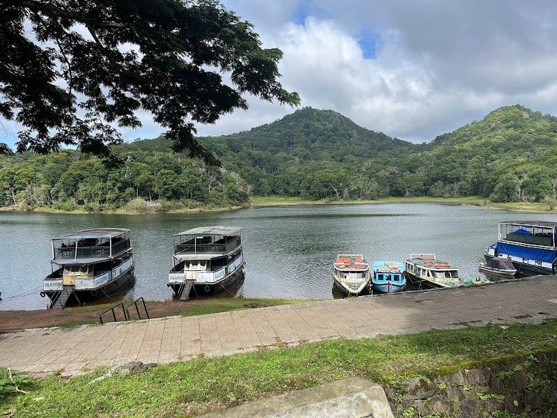 Boating on Periyar Lake
