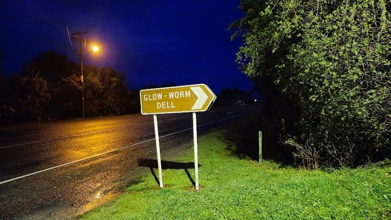 Glow Worm Dell