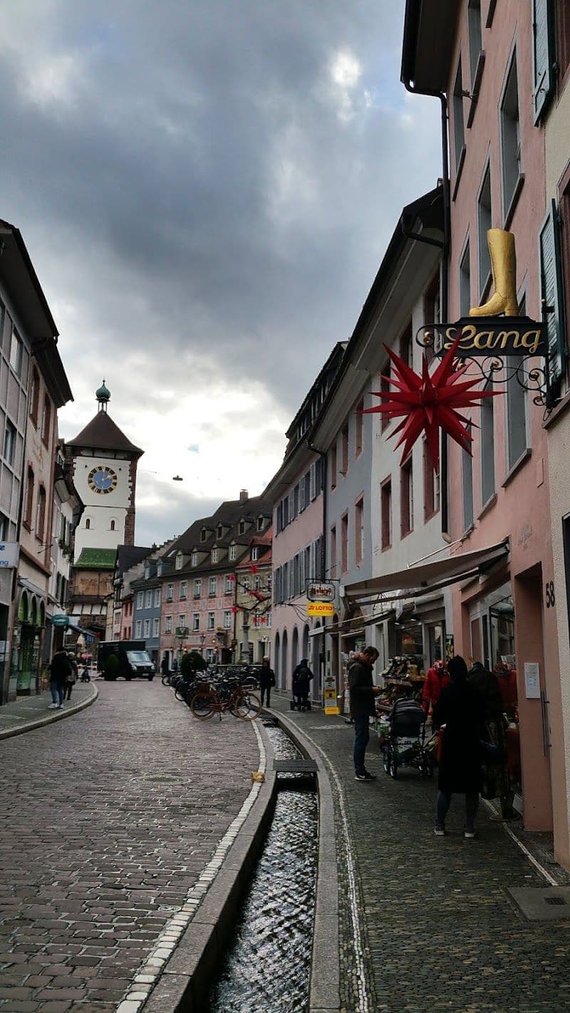 Walk through the Altstadt (Old Town) and see the Bächle