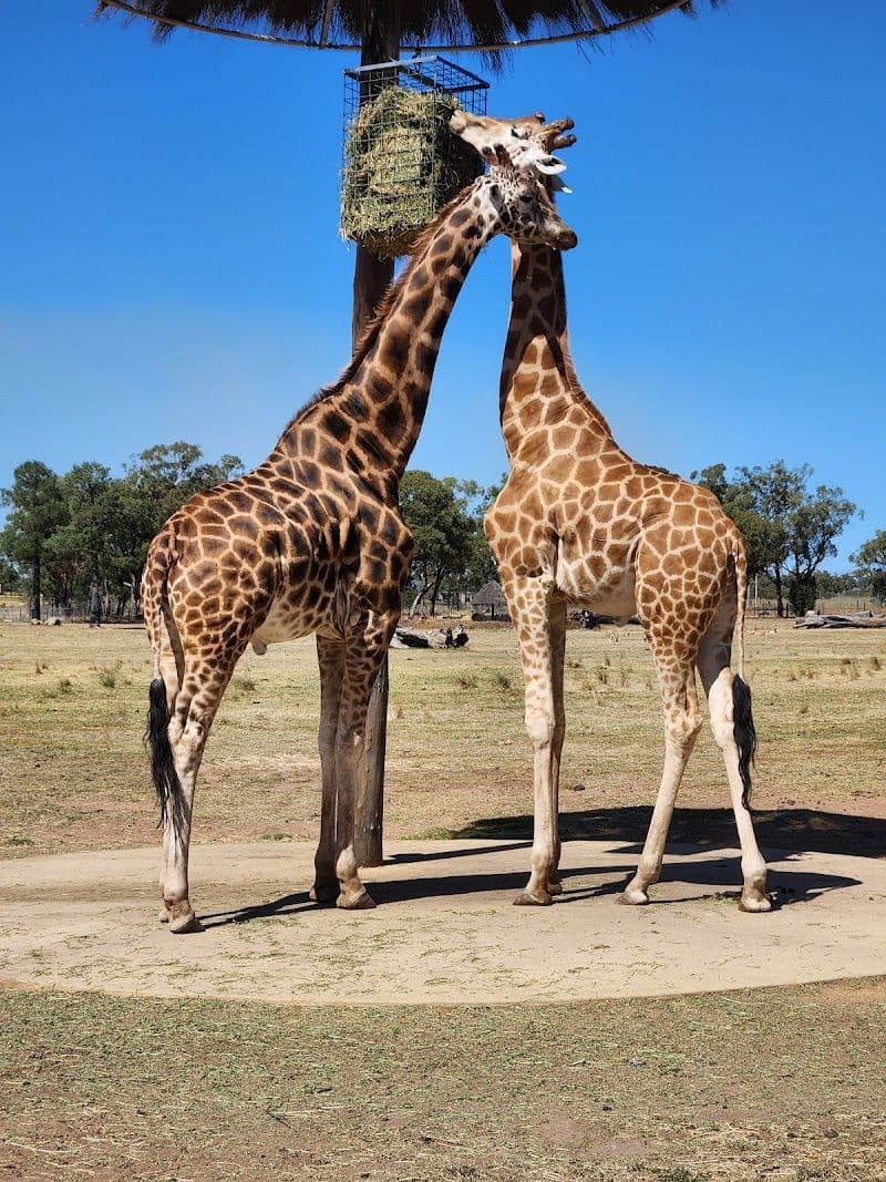 Taronga Western Plains Zoo