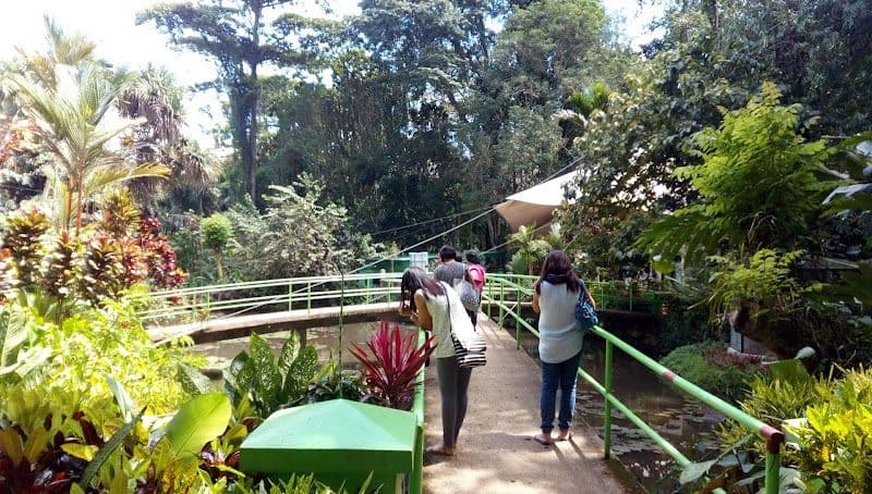 Visit the Philippine Eagle Center