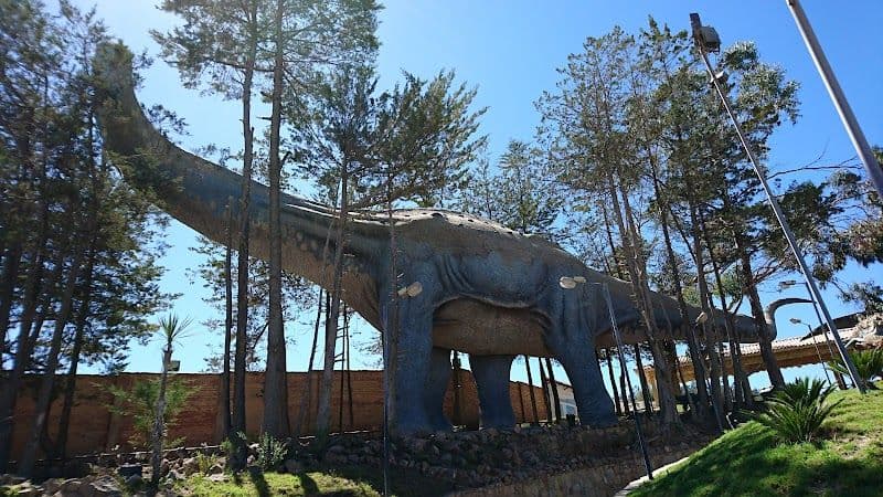 See Dinosaur Footprints at Cal Orck’o