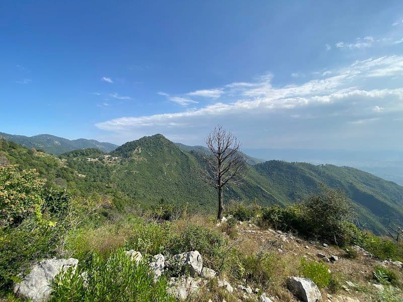 Hiking in the Margalla Hills