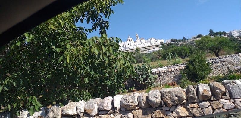 Take a Wine Tour in the Valle d'Itria