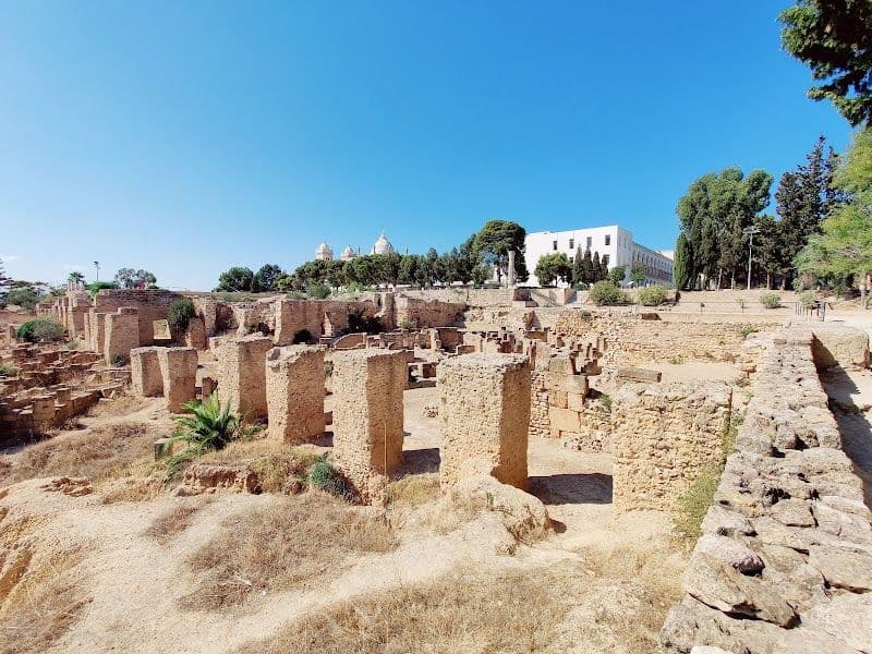 Take a trip to the ancient ruins of Carthage