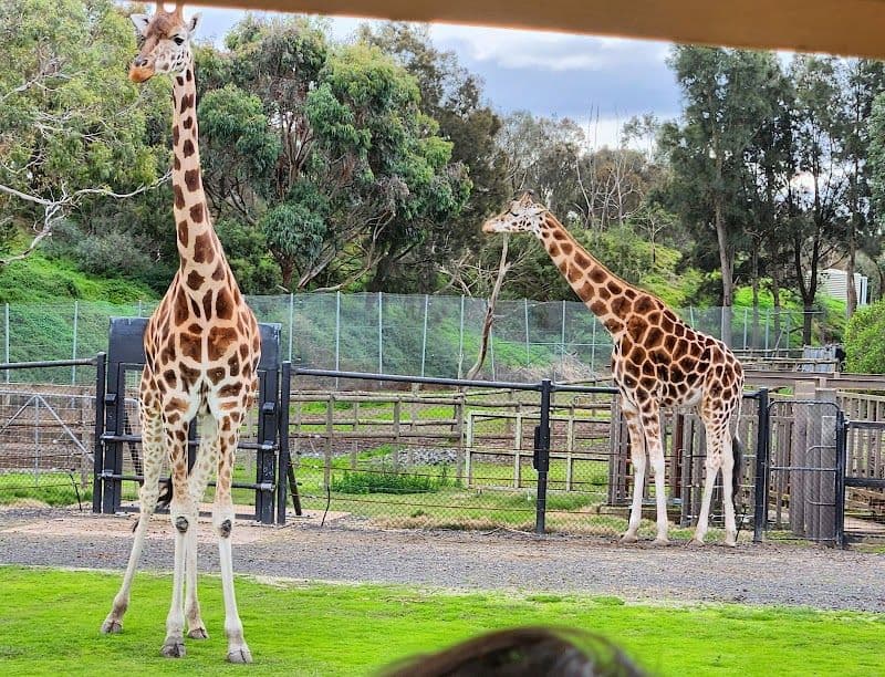 Werribee Open Range Zoo