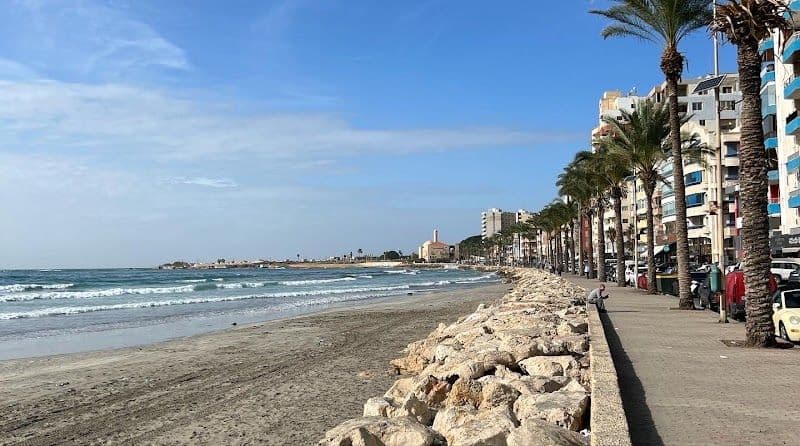 Relax on Tyre's Public Beach