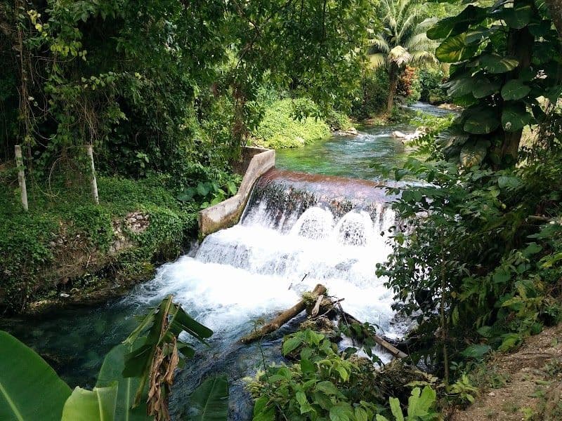 Explore Roaring River Park and Cave