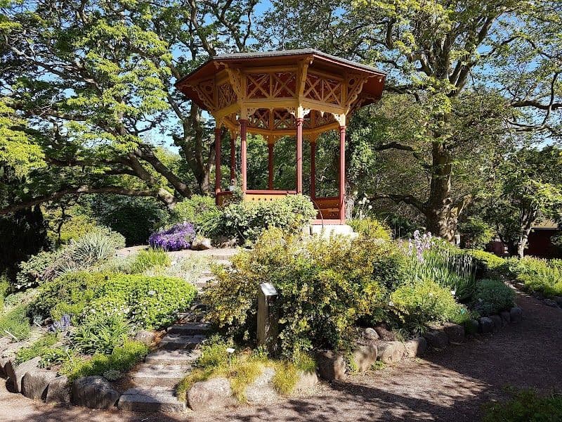 Stroll Through the Botanical Garden (Botaniska Trädgården)