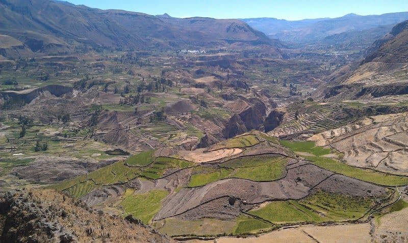 Visit the Colca Canyon to see condors