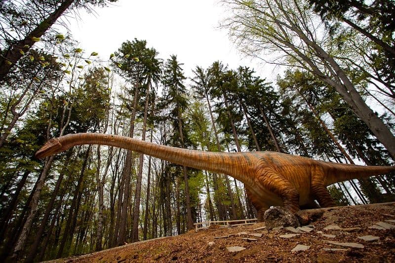 Dino Parc Râșnov