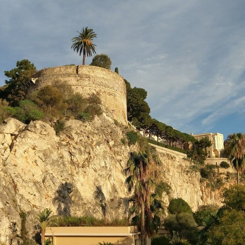 Explore the Prince's Palace of Monaco