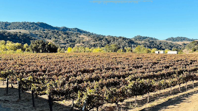 Enjoy wine tasting at local wineries in the Santa Ynez Valley