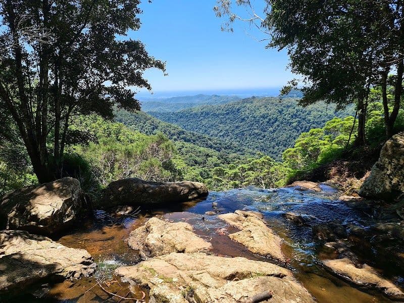 Exploring Springbrook National Park