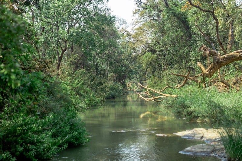 Lilongwe Nature Sanctuary