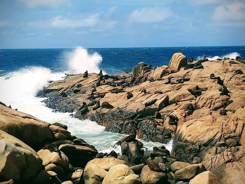 Enjoy Stargazing with Minimal Light Pollution