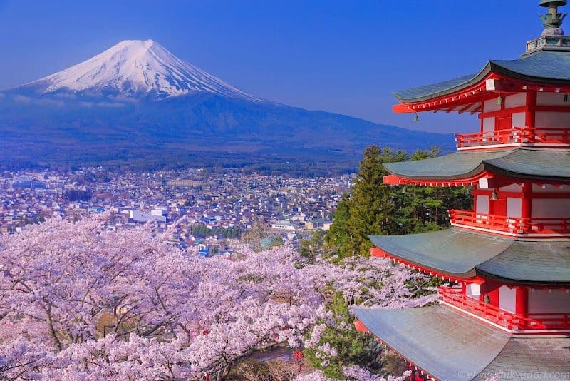 Chureito Pagoda at Arakurayama Sengen Park