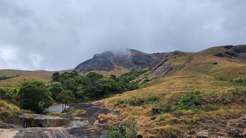 Eravikulam National Park