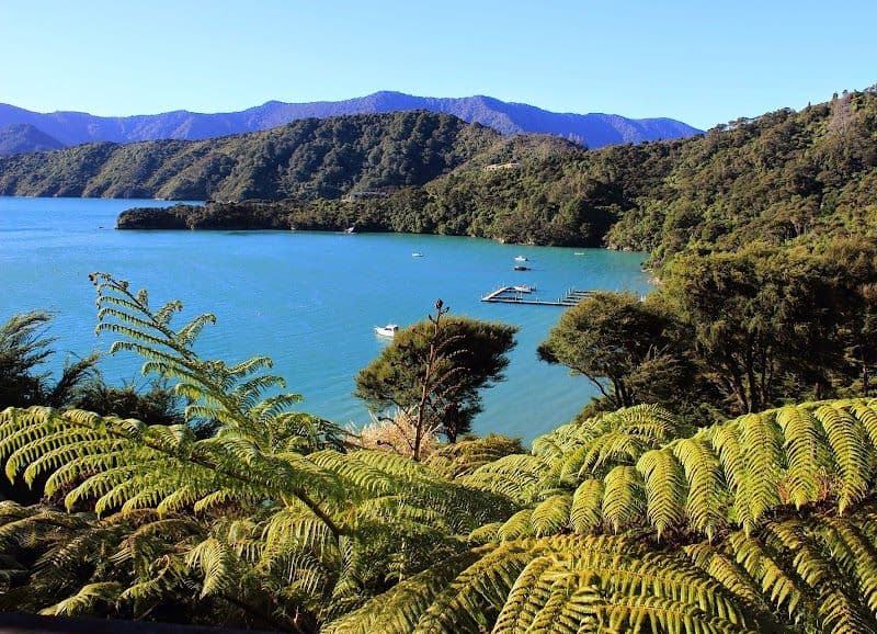 Queen Charlotte Track Hike