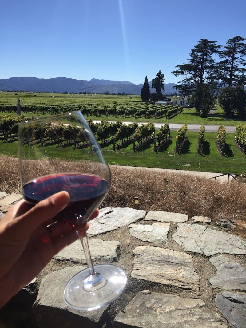 Wine Tasting in Marlborough Wine Region