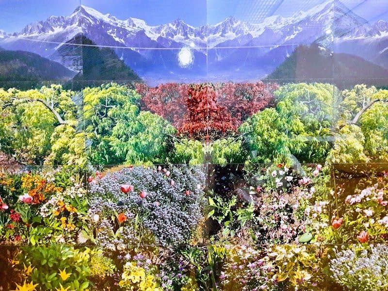 Explore the Centre Pompidou Metz