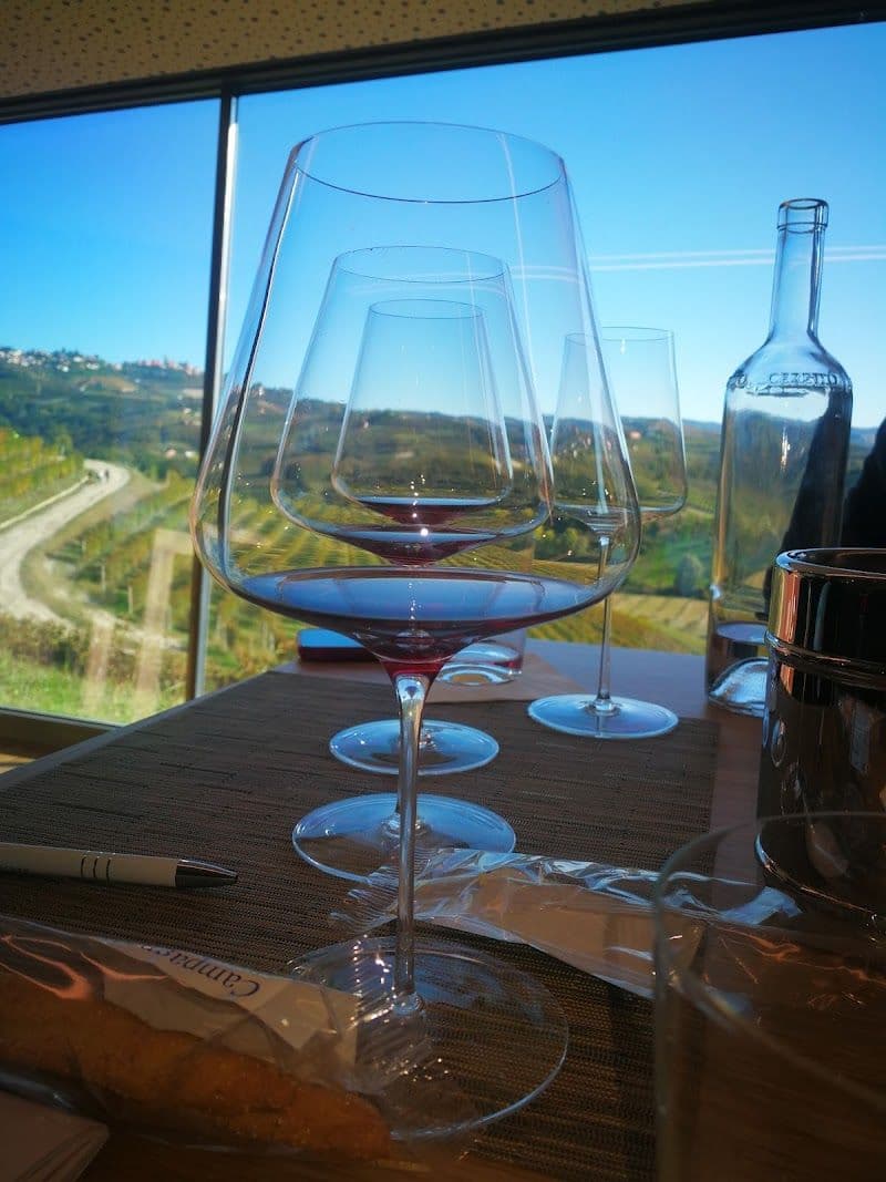 Wine Tasting in Langhe Vineyards