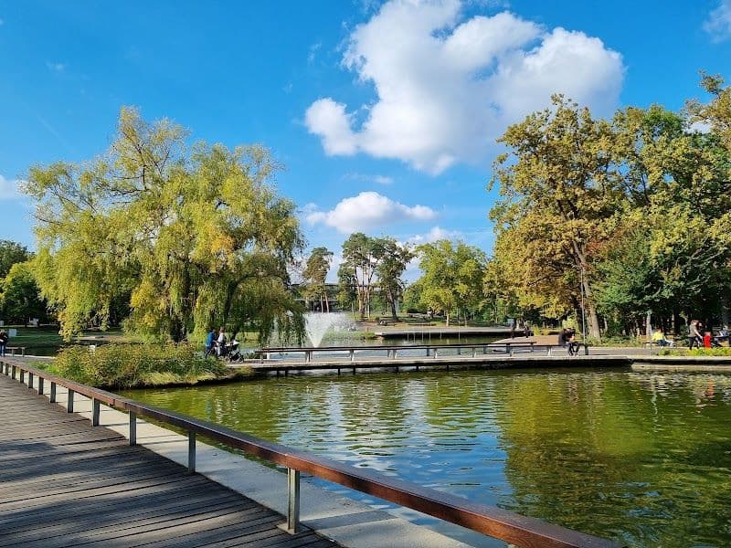 Explore the Great Forest Park (Nagyerdő)