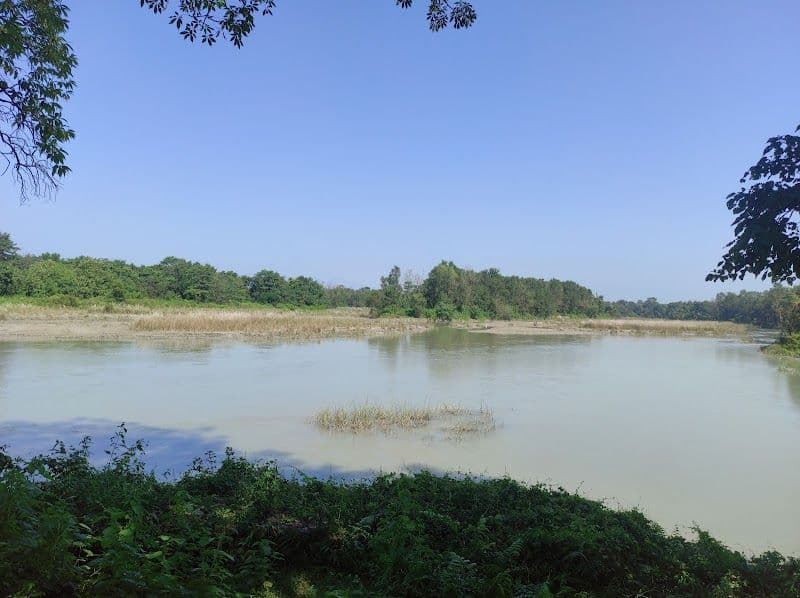 Explore Koshi Tappu Wildlife Reserve