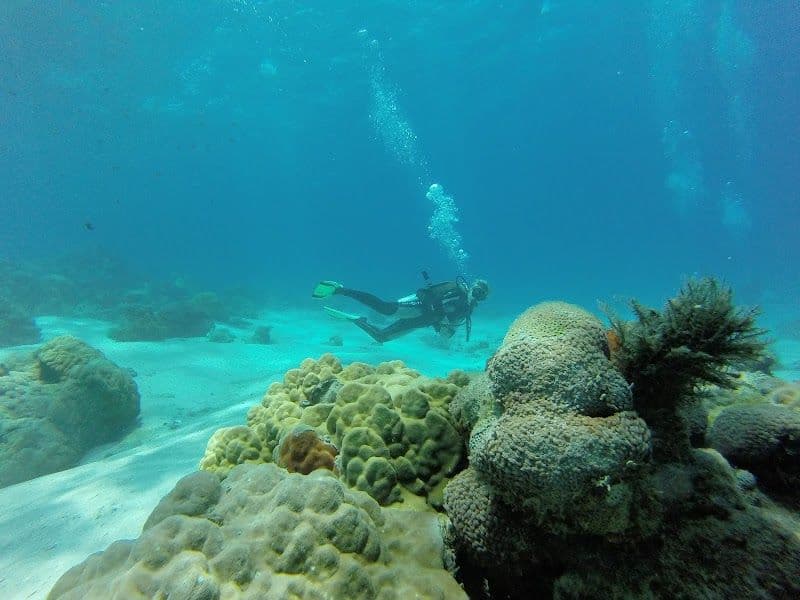 Snorkeling and Diving at Nosy Tanikely Marine Reserve