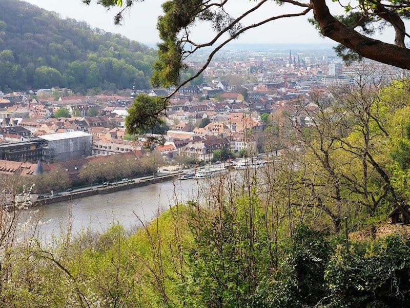 Stroll along the Philosophers Walk Philosophenweg