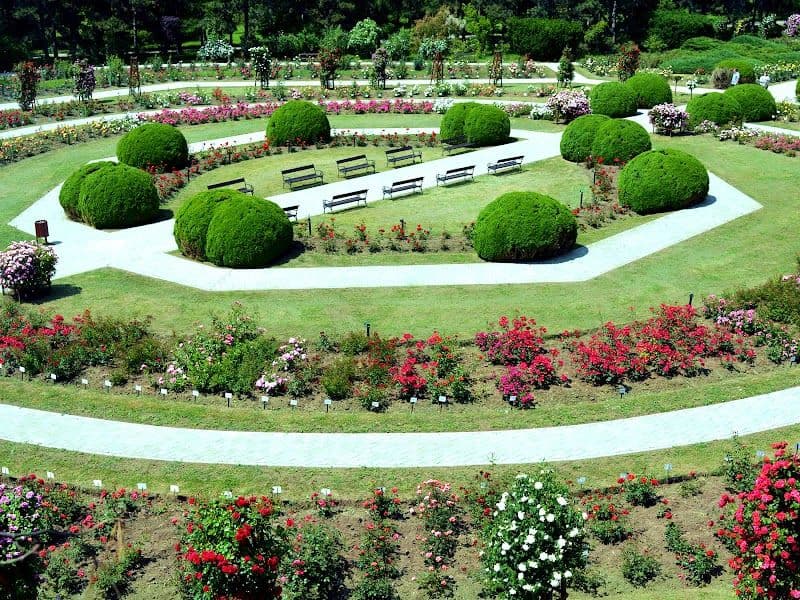 Explore the Botanical Garden
