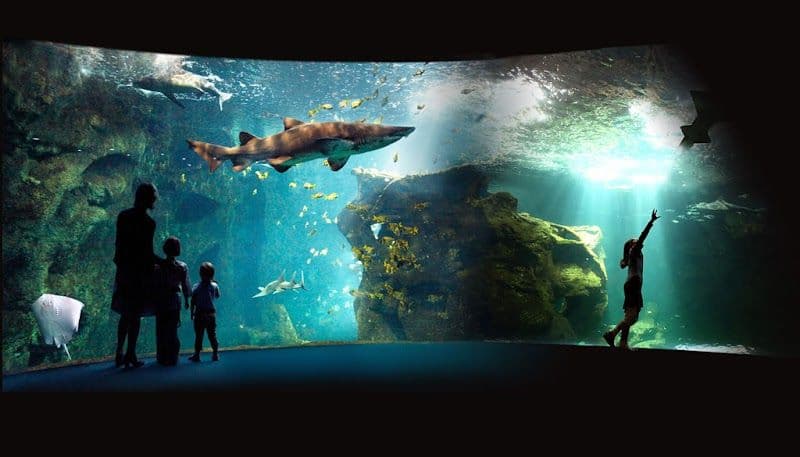 Discover the La Rochelle Aquarium