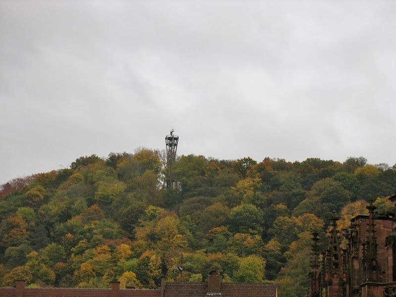 Explore Freiburg Münster (Freiburg Cathedral)