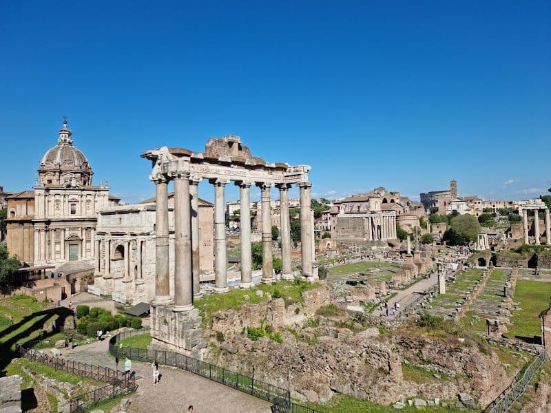 Explore the Roman Forum and Palatine Hill