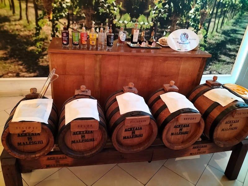 Take a Balsamic Vinegar Tour and Tasting