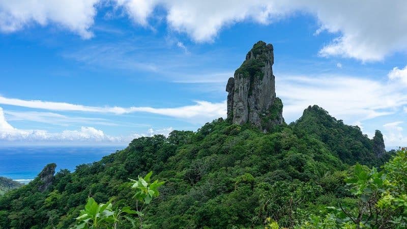 Te Rua Manga The Needle