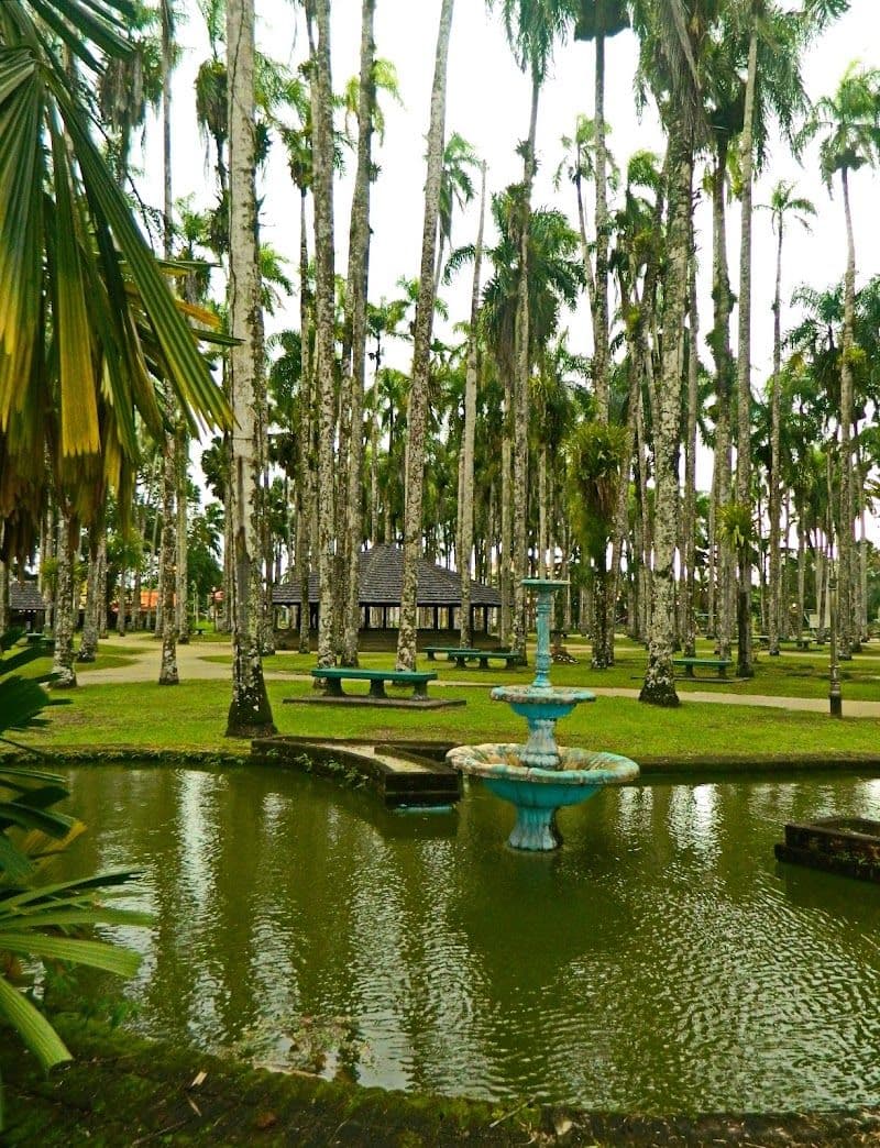 Stroll Along the Waterfront and Palmentuin Palm Garden