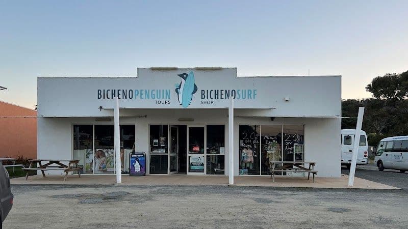 Bicheno Penguin Tour