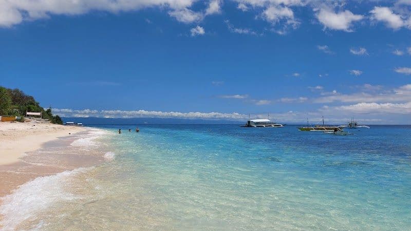 Island Hopping in Panglao (Balicasag and Virgin Islands)