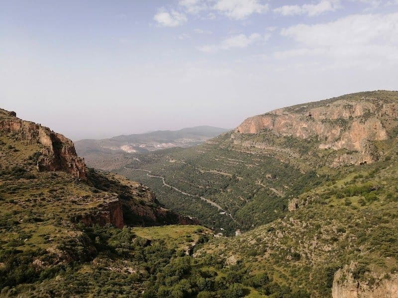 Explore the Tlemcen National Park
