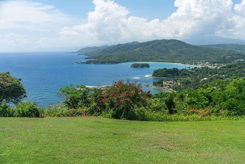 Explore Firefly Estate