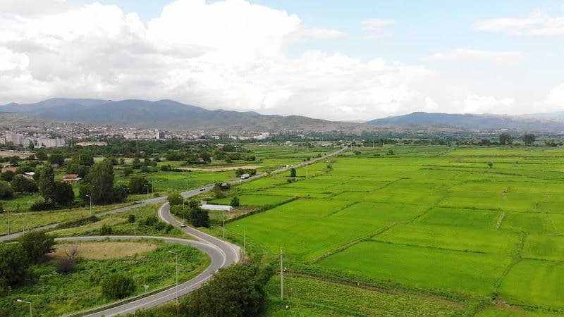 Explore Kočani Rice Fields