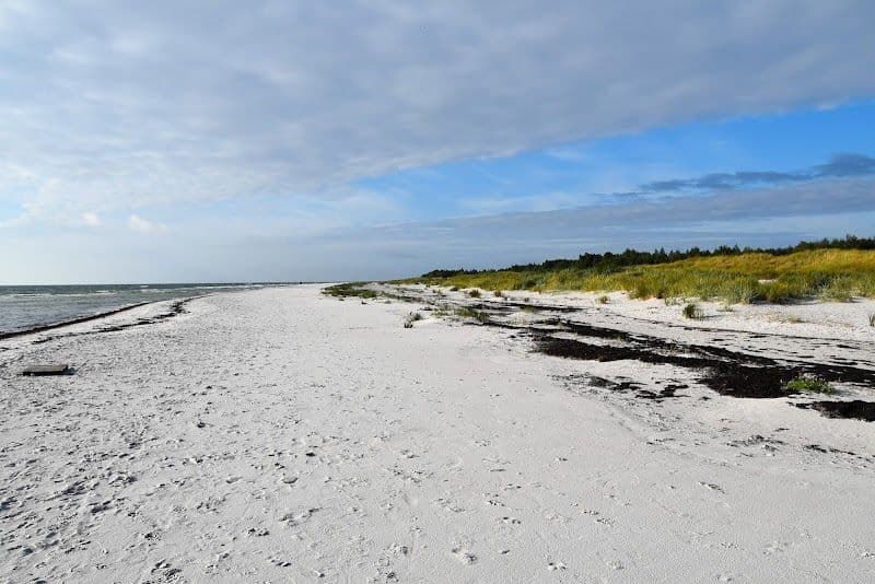 Relax at Dueodde Beach