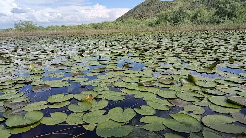 Konoba Kljajevica Luka
