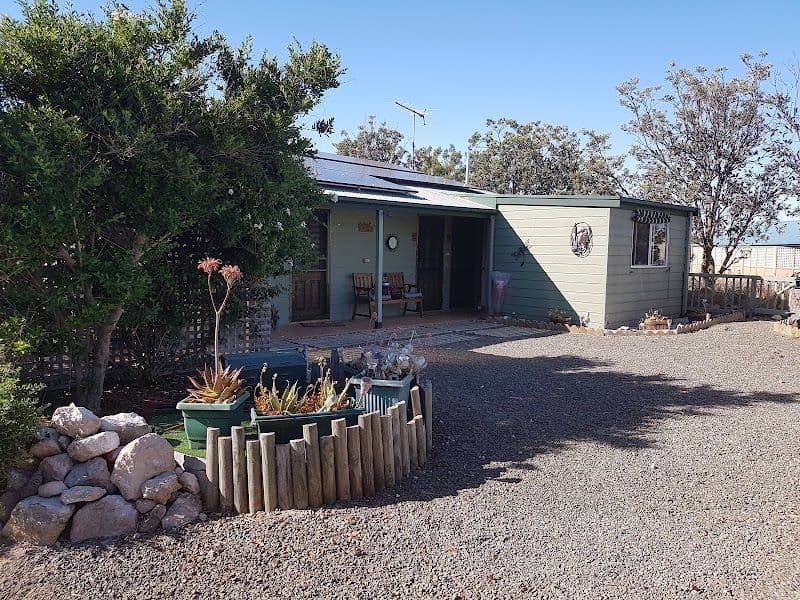 The Enchanted Fig Tree