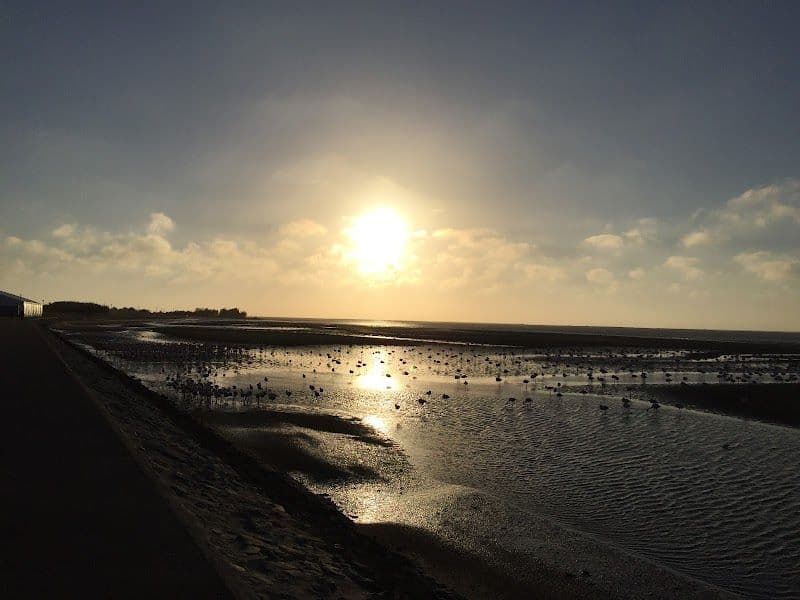 Flamingo Bay Restaurant & Bar